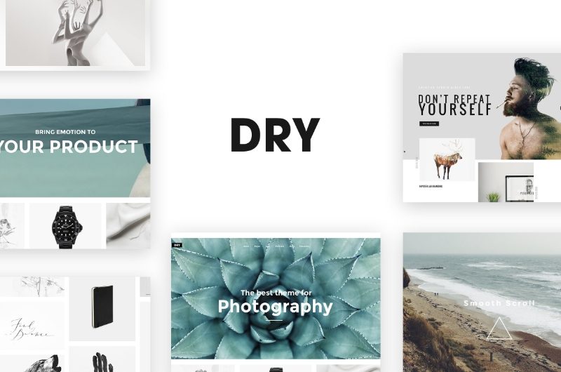 demo-attachment-1191-DRY-1